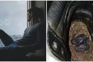 Tak dipakai selama lockdown, sepatu pria ini jadi sarang burung