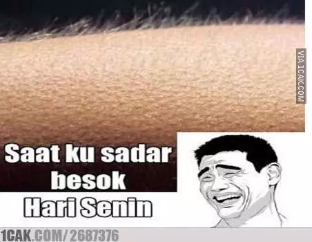 meme hari minggu berbagai sumber meme hari minggu berbagai sumber