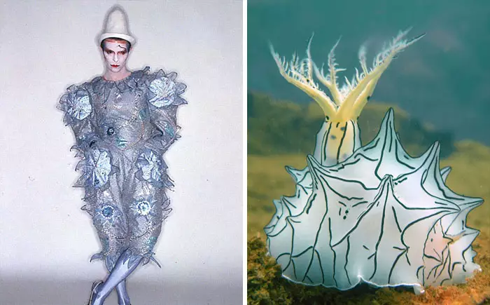 Potret David Bowie mirip siput laut bowiebranchia