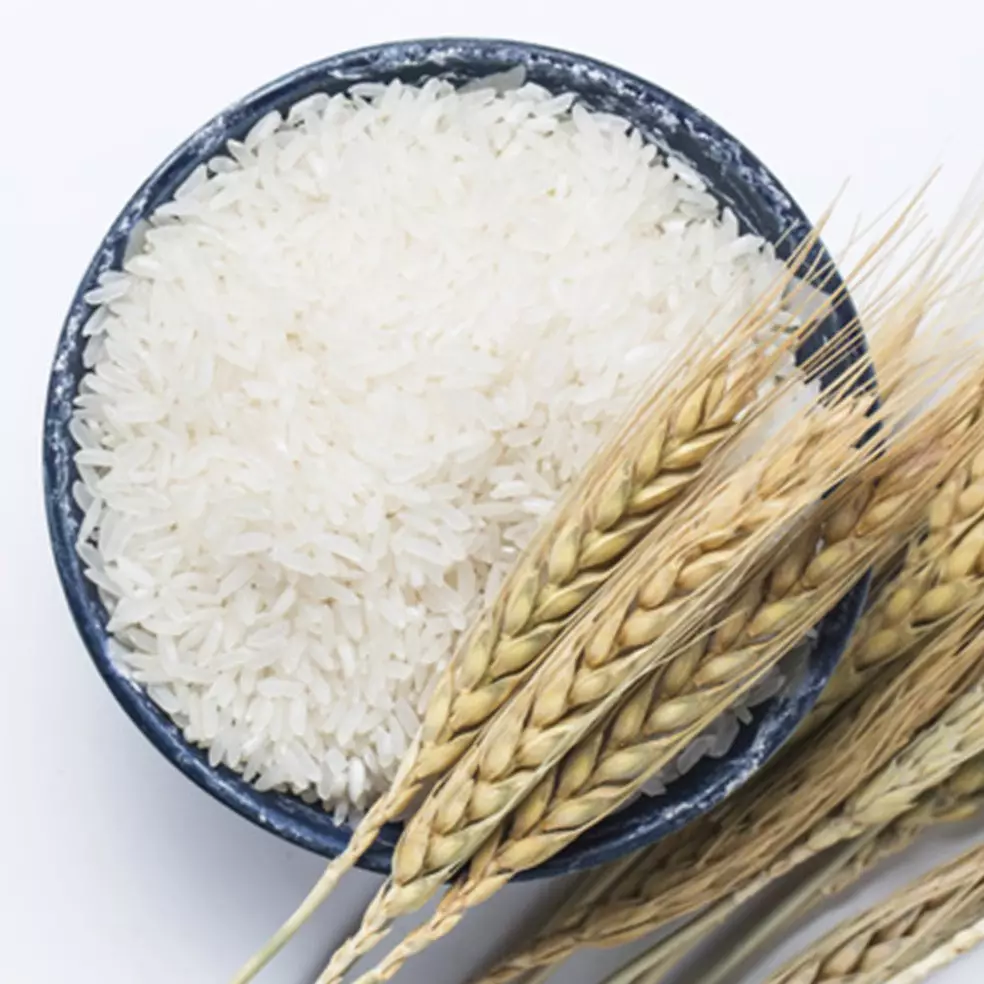 Dalil tentang zakat fitrah, beserta waktu terbaik dan keutamaannya