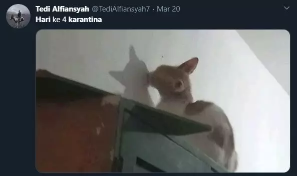 tingkah absurd karantina berbagai sumber