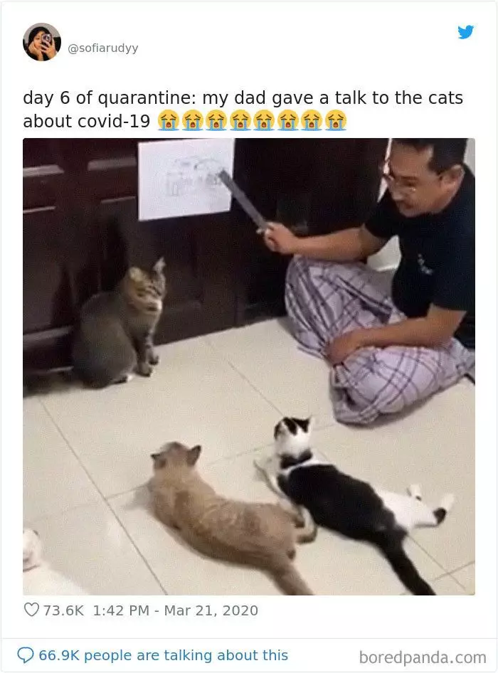 tingkah absurd karantina berbagai sumber