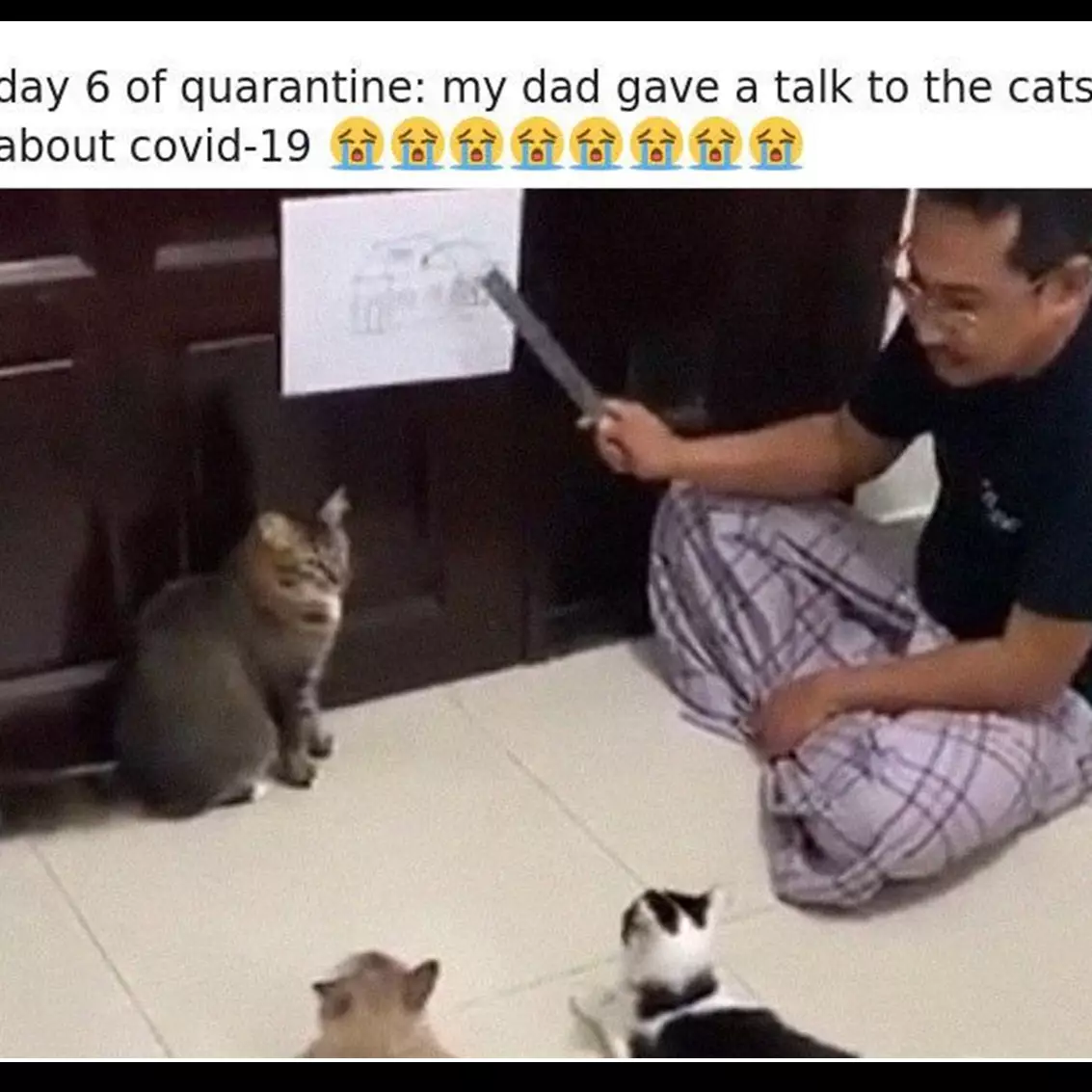 8 Aktivitas absurd selama karantina, bikin ketawa ngenes