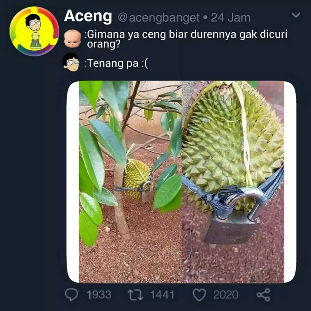 meme lucu mencari solusi © 2020 instagram.com