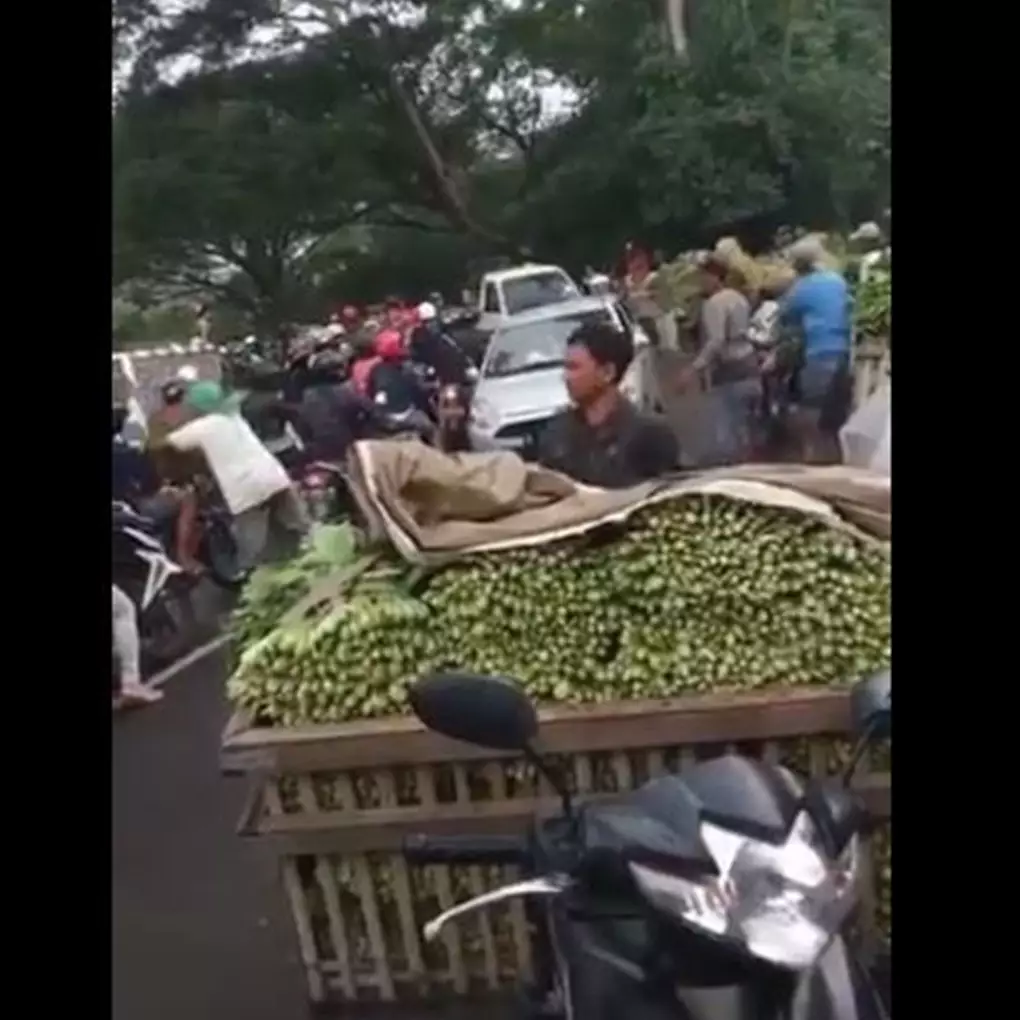 Viral aksi petani bagi-bagi sayuran di tengah pandemi, salut