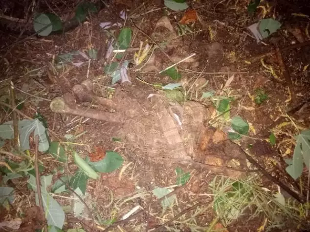 Heboh warga Bekasi © 2020 ©Humas Polres Bekasi