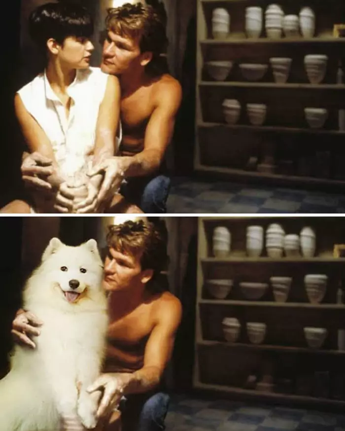 Potret adegan film tokohnya diubah anjing Instagram/@miloki_samoyeds