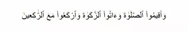 Keutamaan Sholat Idul Fitri beserta hukum melaksanakannya © 2020 brilio.net Keutamaan Sholat Idul Fitri beserta hukum melaksanakannya © 2020 brilio.net