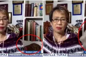 Viral video dua ekor kucing berkelahi saat jurnalis live TV