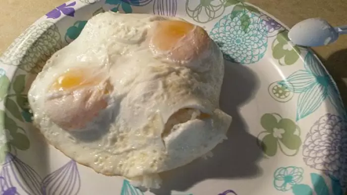 momen apes goreng makanan © 2020 brilio.net