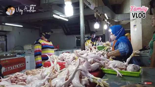 ussy berbagai sumber