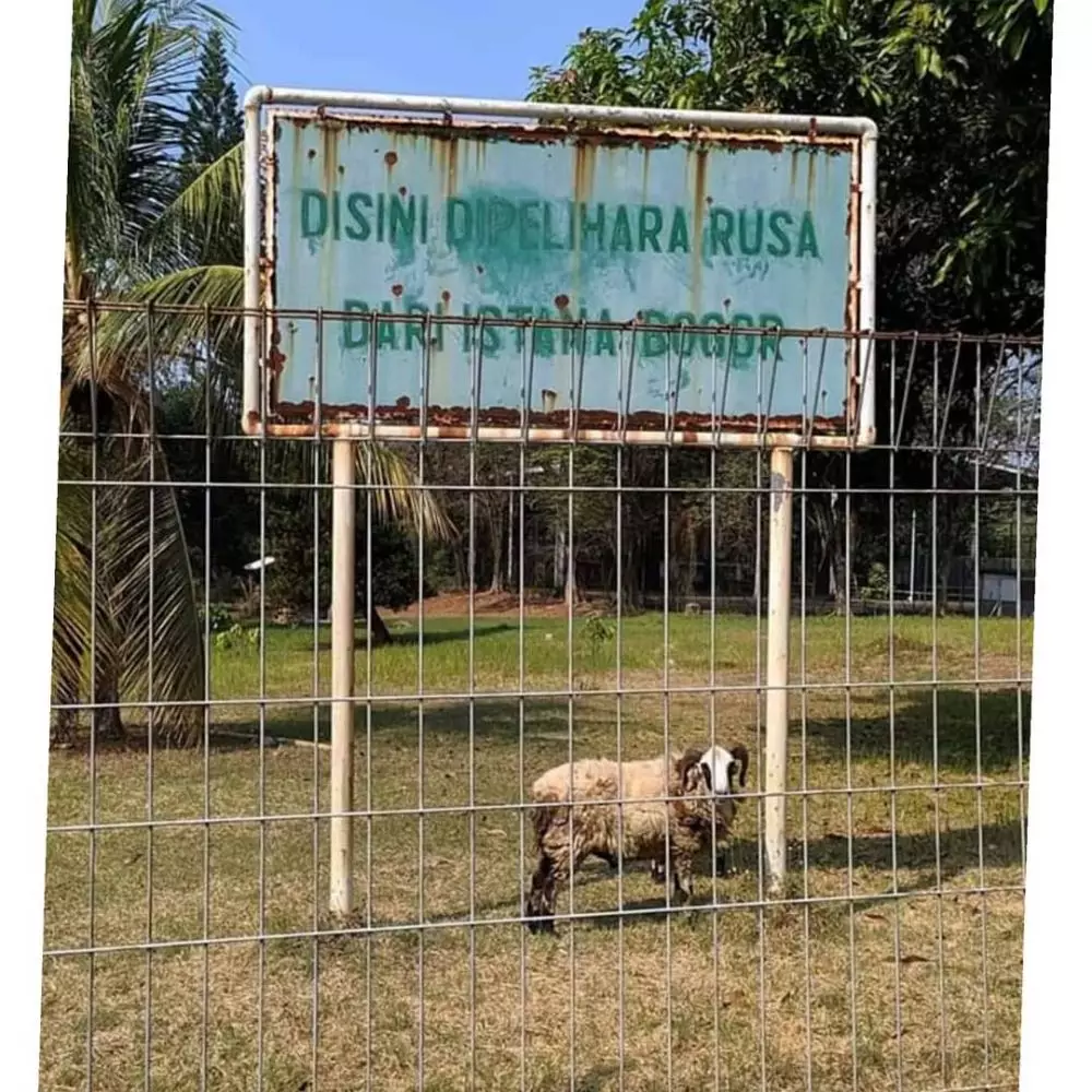 momen pas spanduk dan benda © 2020 instagram.com