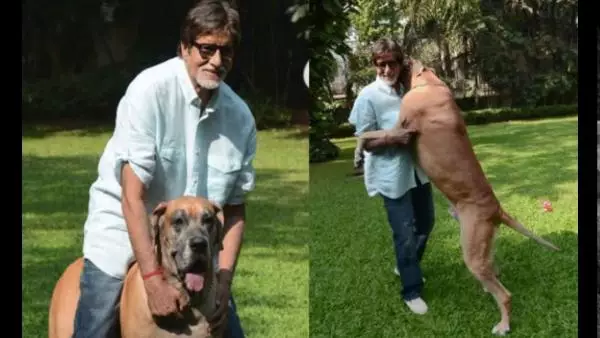 Penampakan rumah mewah Amitabh Bachchan Istimewa Penampakan rumah mewah Amitabh Bachchan Istimewa