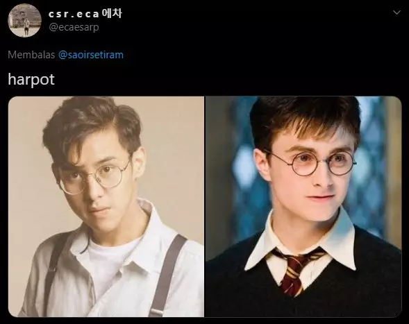 Cocoklogi Harry Potter © 2020 brilio.net