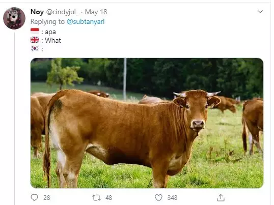 cuitan bahasa korea Twitter