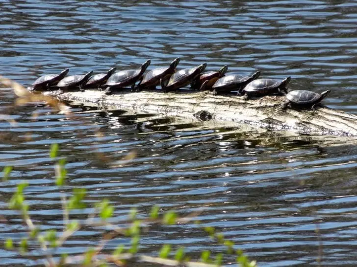 Momen pas ini bikin mikir dua kali  Istimewa