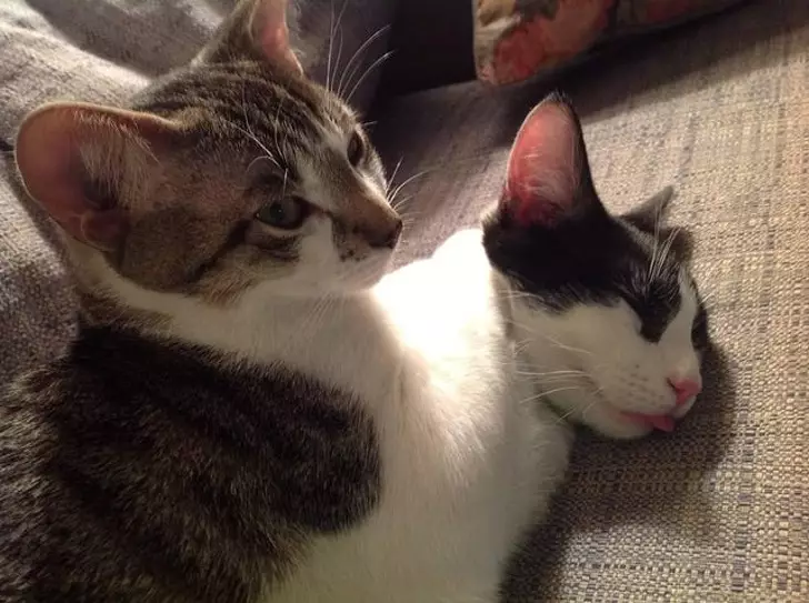 Momen pas ini bikin mikir dua kali  Istimewa