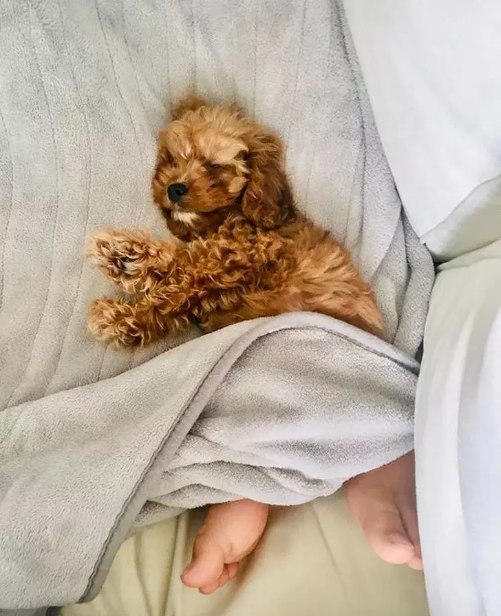 Momen pas ini bikin mikir dua kali  Istimewa