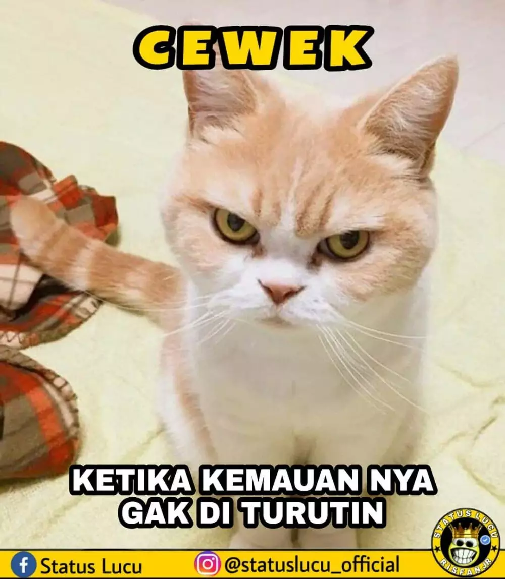 meme cowok harus sabar © 2020 instagram.com meme cowok harus sabar © 2020 instagram.com