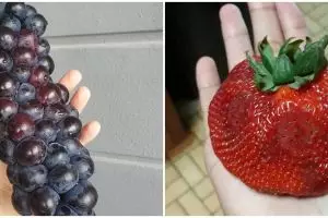 20 Makanan ini punya bentuk yang aneh, bikin melongo