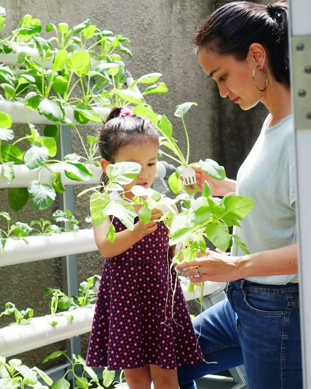 Atiqah Hasiholan berkebun Instagram
