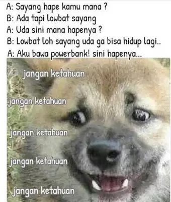 cewek posesif kebangetan berbagai sumber