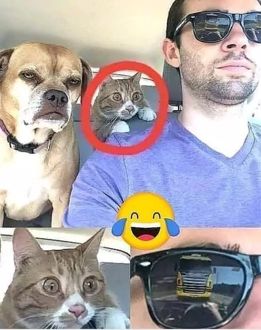 foto ending tak terduga © 2020 brilio.net foto ending tak terduga © 2020 brilio.net