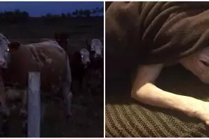 10 Potret hewan ini punya aura seram, bikin bergidik