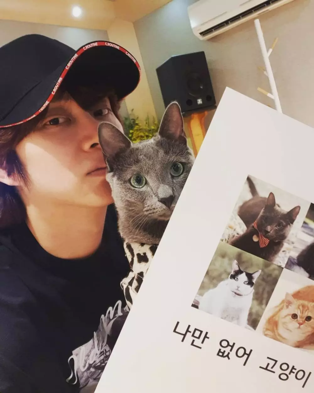 seleb korea pelihara kucing  Instagram