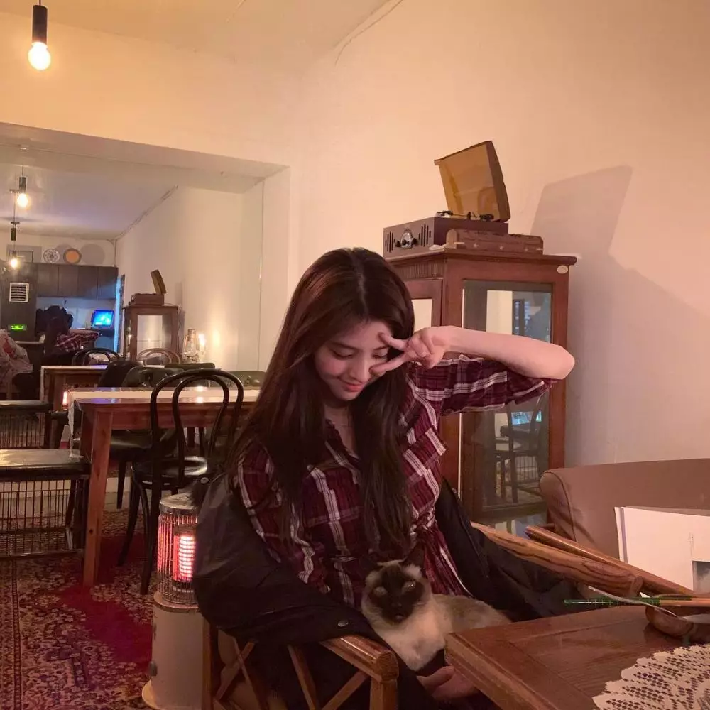 seleb korea pelihara kucing  Instagram