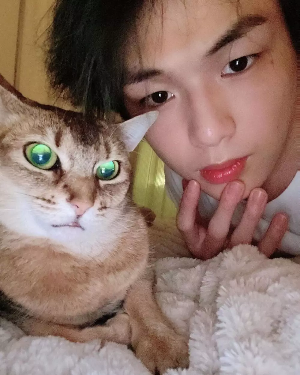 seleb korea pelihara kucing  Instagram