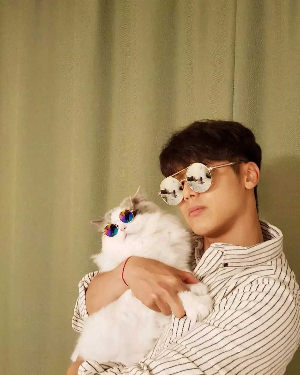 seleb korea pelihara kucing  Instagram