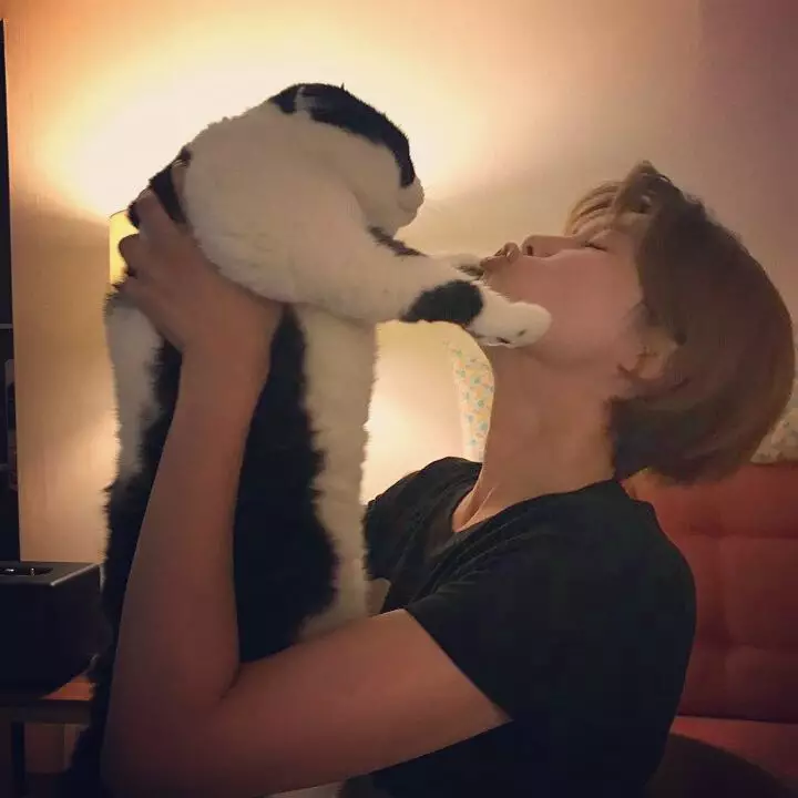 seleb korea pelihara kucing  Instagram