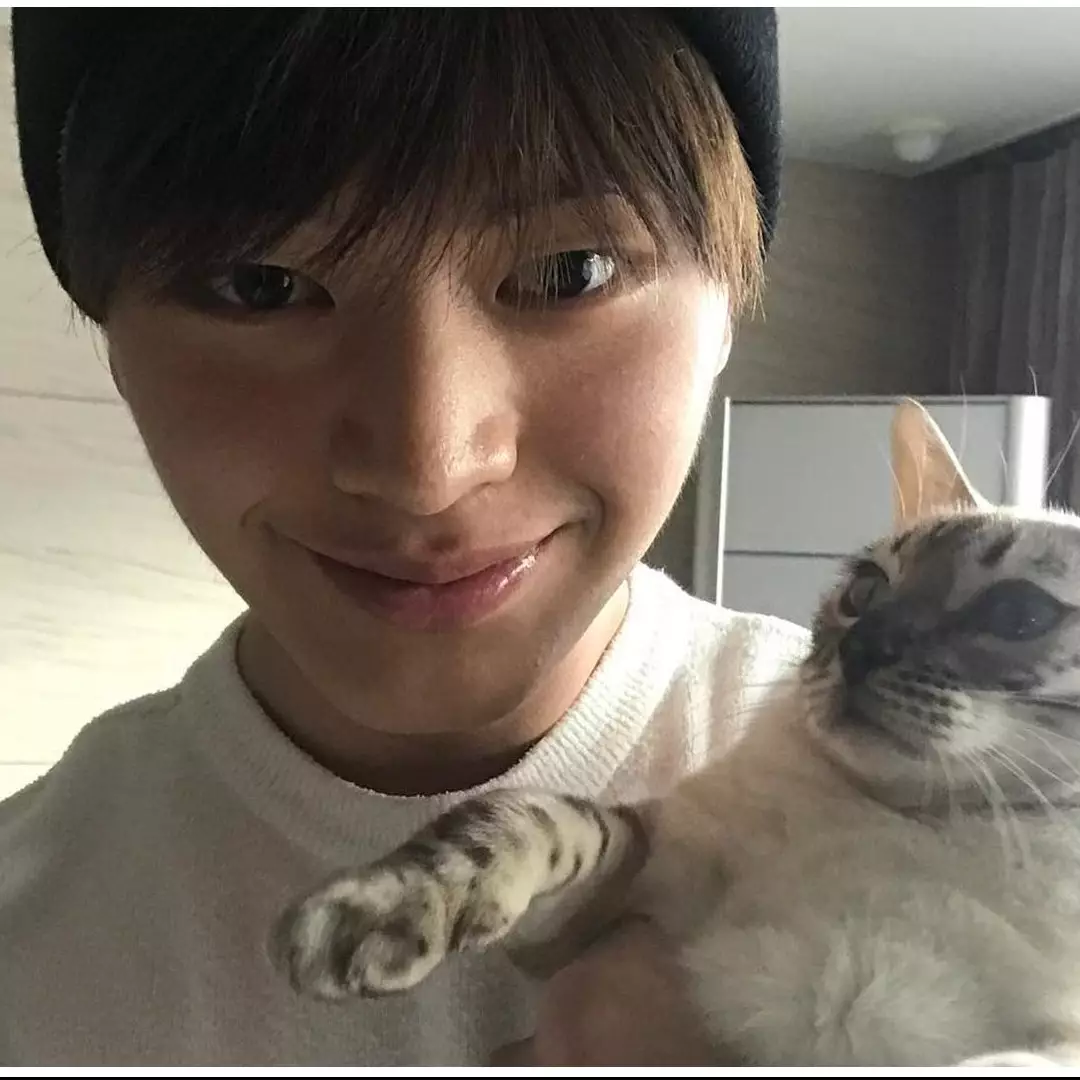 10 Seleb Korea ini pencinta kucing, sama sama bikin gemas