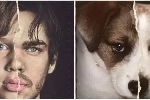 10 Parodi poster film ini kocak, pemeran utama diganti anjing lucu