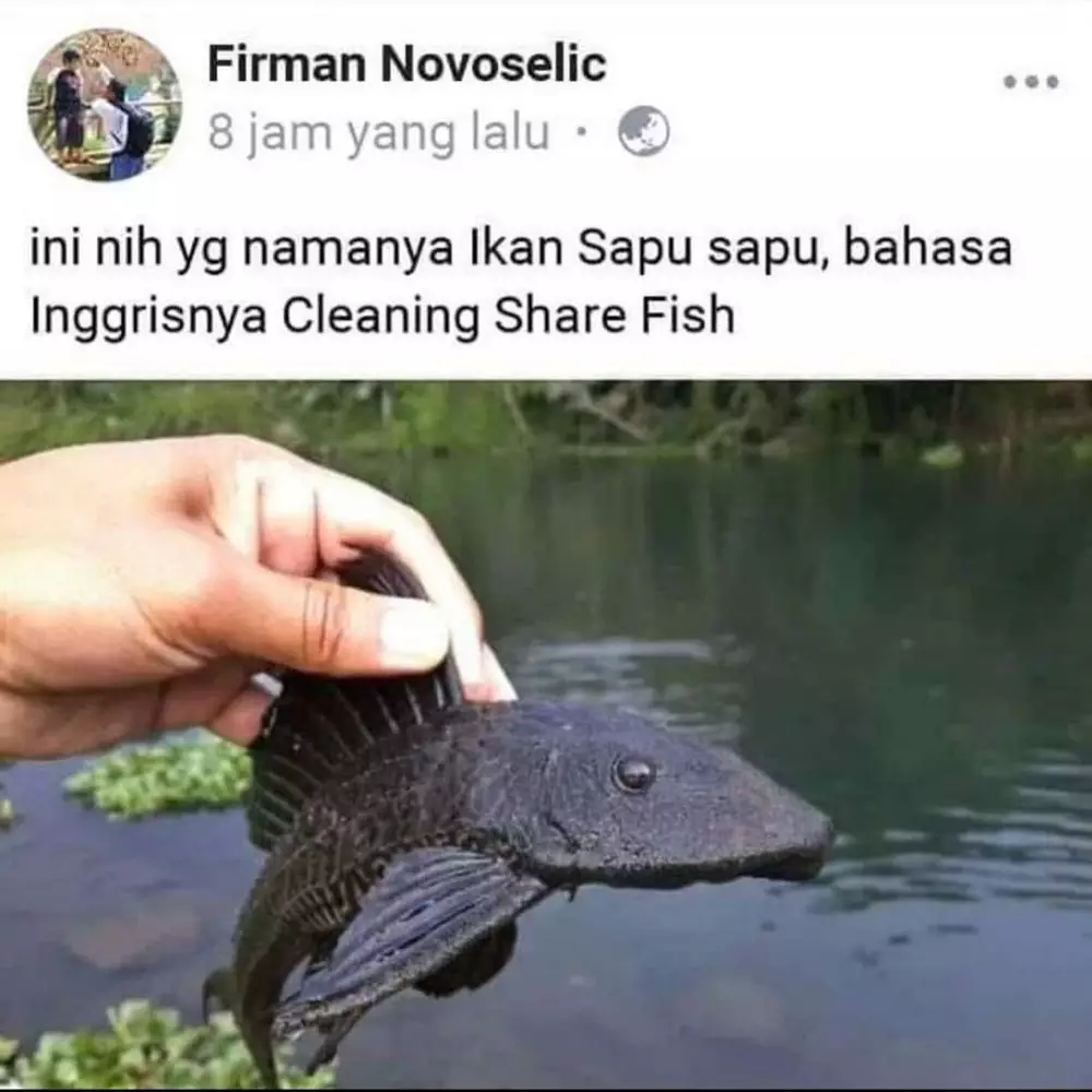 status fb lucu salah sebut kata © 2020 instagram.com