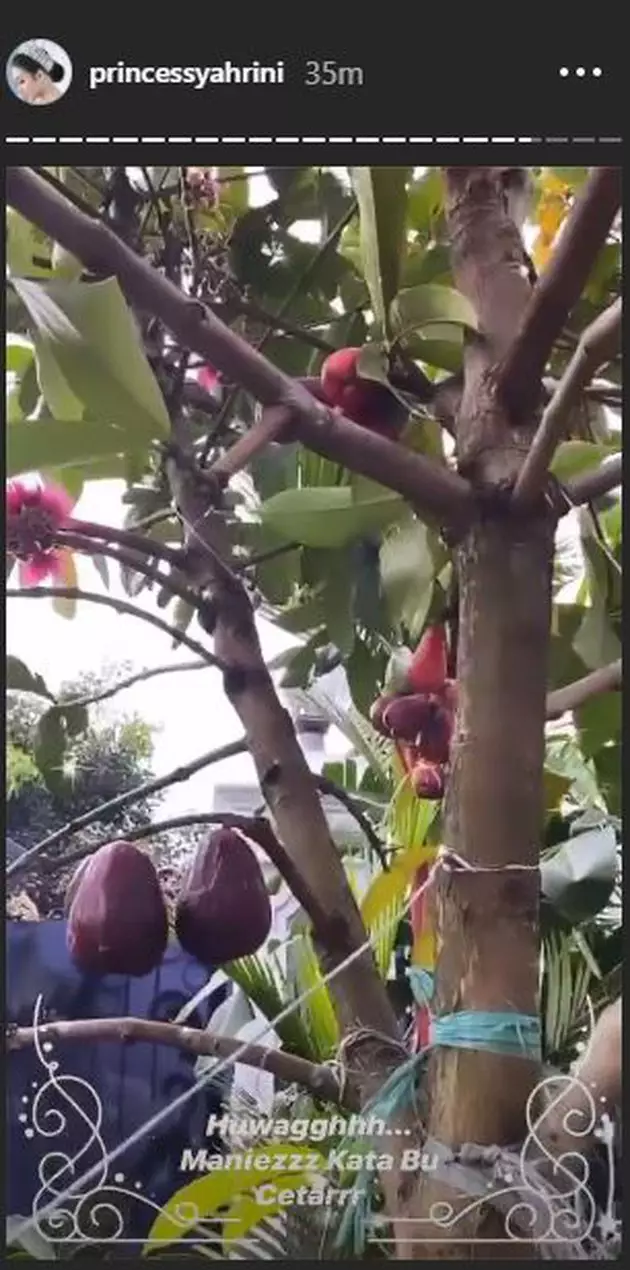 Instagram/@princessyahrini © 2020 brilio.net