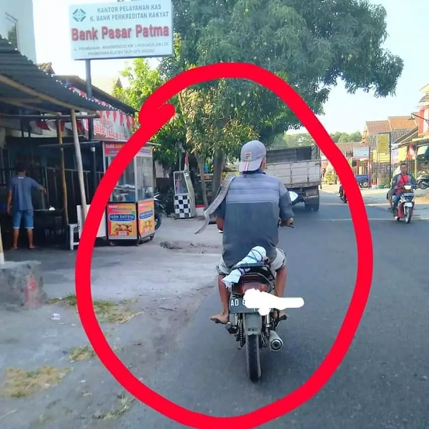 barang nyeleneh dibawa berkendara © 2020 instagram.com barang nyeleneh dibawa berkendara © 2020 instagram.com