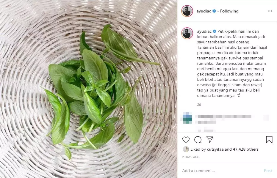 seleb panen di rumah © 2020 brilio.net seleb panen di rumah © 2020 brilio.net