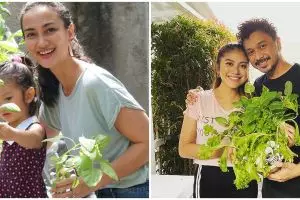 Berkebun di rumah, ini momen seru 6 seleb panen buah atau sayur