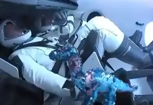 4 Fakta peluncuran SpaceX ke luar angkasa © 2020 brilio.net