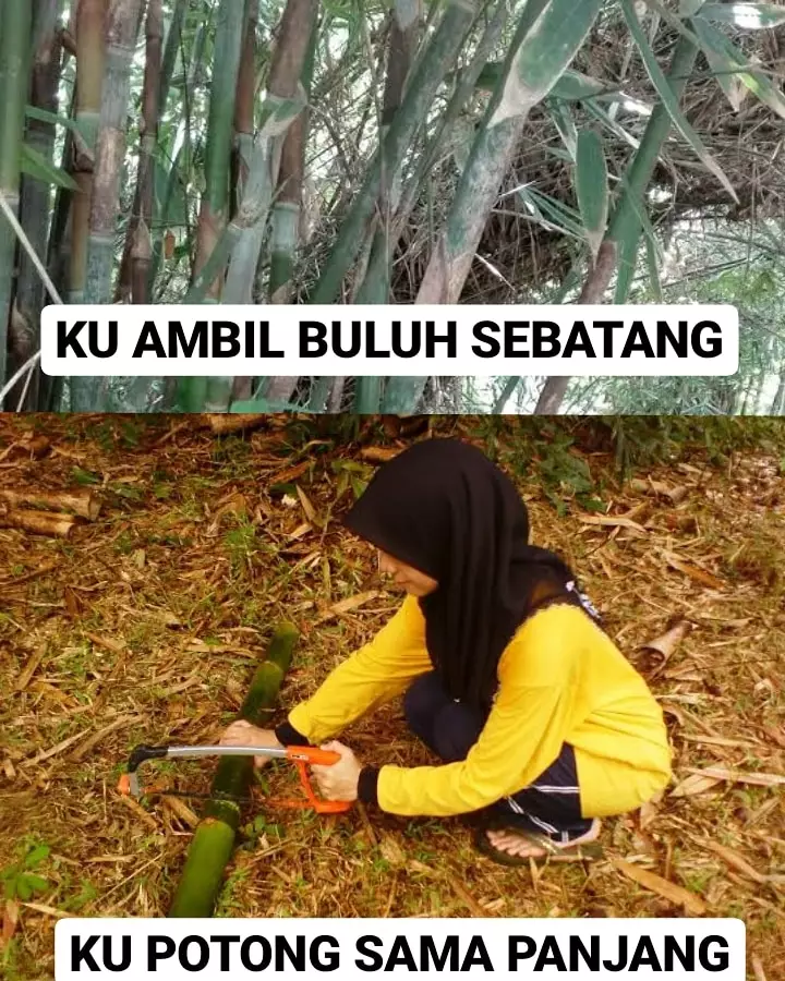 Meme lirik lagu sambil nyanyi Berbagai sumber Meme lirik lagu sambil nyanyi Berbagai sumber