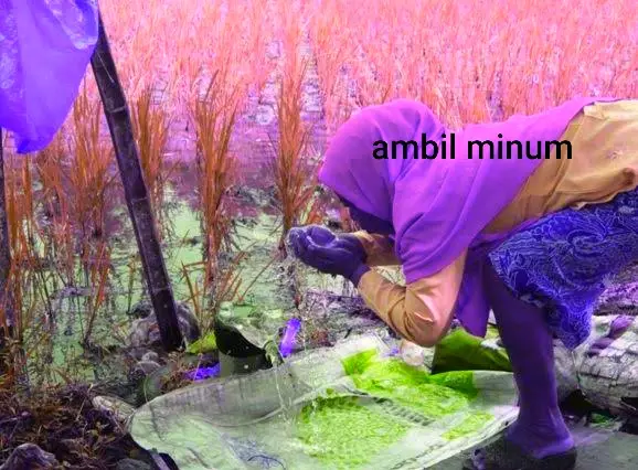 Meme lirik lagu sambil nyanyi Berbagai sumber Meme lirik lagu sambil nyanyi Berbagai sumber