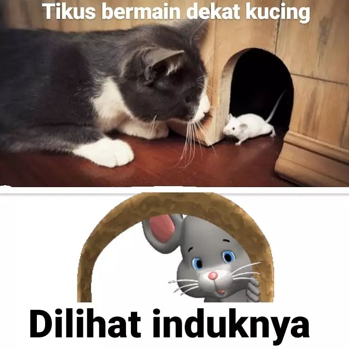 Meme lirik lagu sambil nyanyi Berbagai sumber Meme lirik lagu sambil nyanyi Berbagai sumber