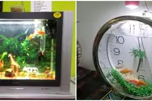 10 Barang bekas dikreasikan jadi akuarium, hasilnya luar biasa