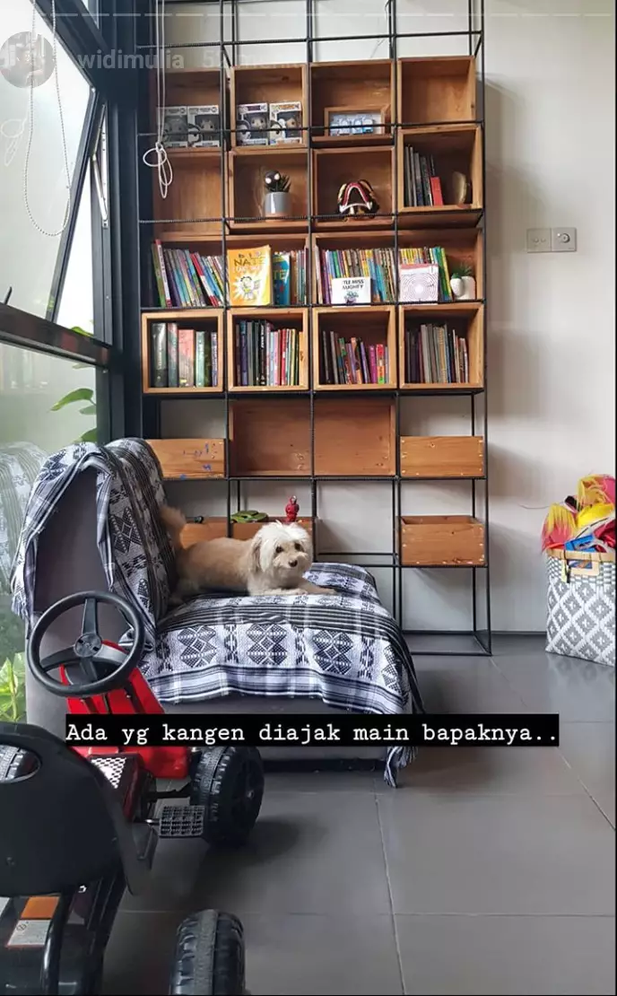 Widi Mulia © 2020 brilio.net