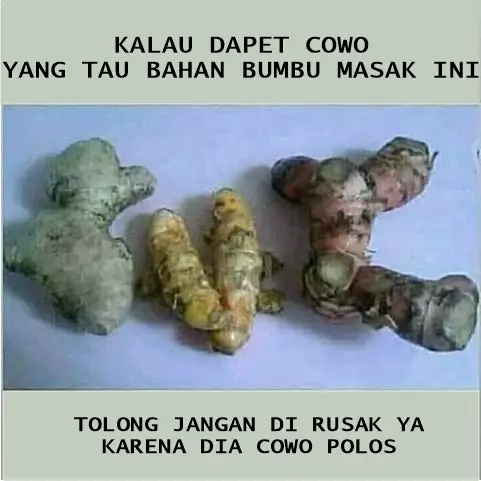 cowo jangan rusak berbagai sumber