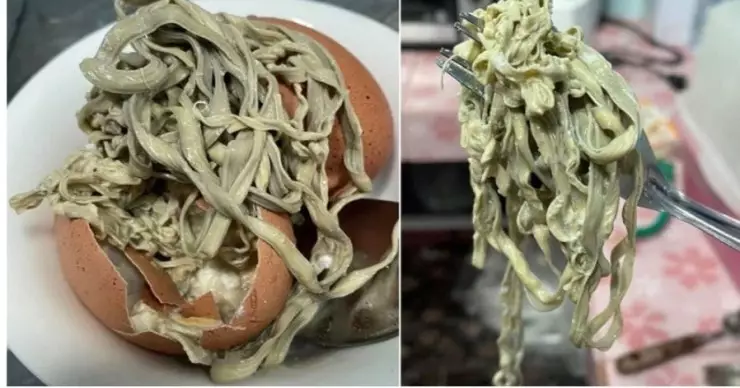 isi telur rebus ini bikin syok  Istimewa