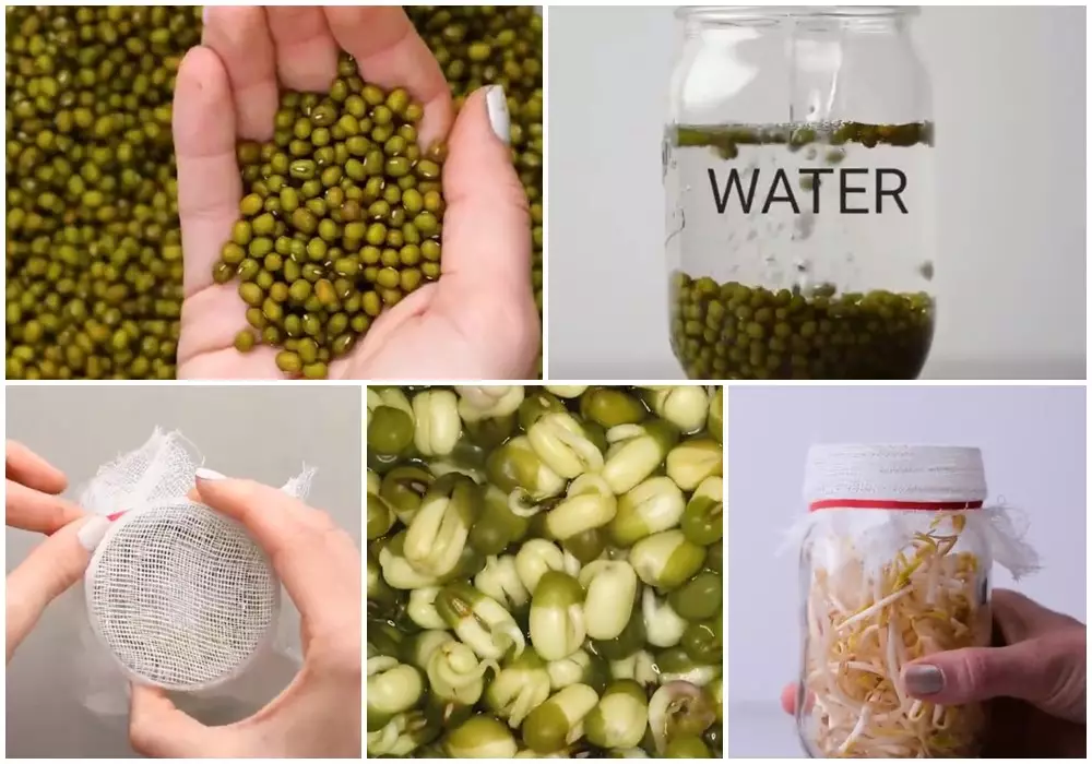 Lifehack menanam benih buah Twitter/@awkwardgoogle Lifehack menanam benih buah Twitter/@awkwardgoogle