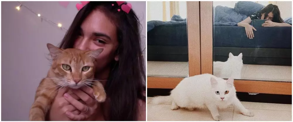 beda gaya Haico dan Cut Syifa berbagai sumber 